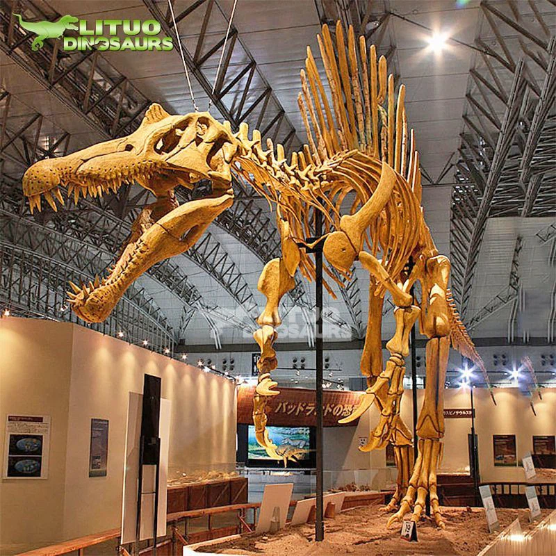 1Spinosaurus Skeleton(001)