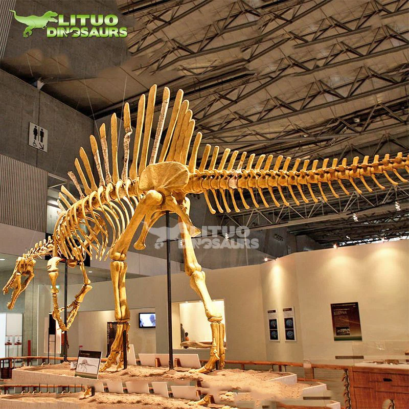 2Artificial dinosaur fossil Spinosaurus(001)