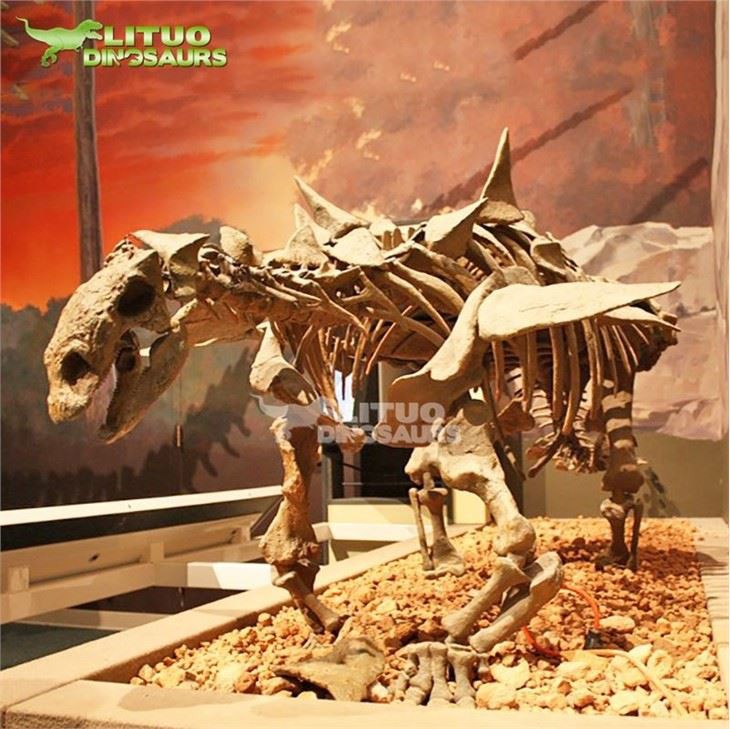2Ankylosaurus Fossil(001)
