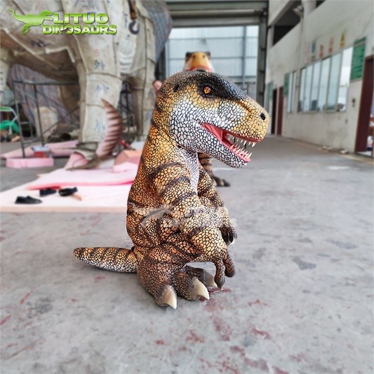 Cartoon Baby Trex Dinosaur Costume
